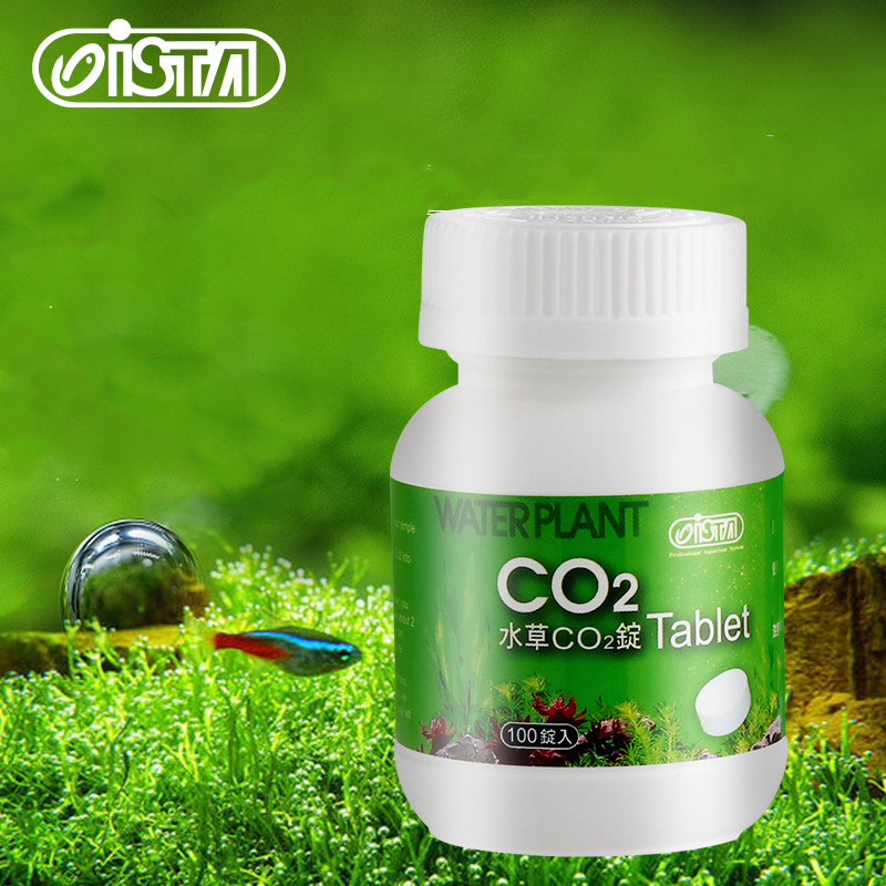 Planted Aquarium Without Co2 - ISTA حوض للأسماك حوض السمك CO2