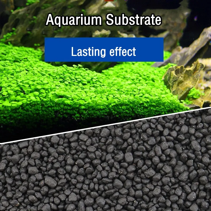 Planted Aquarium With Sand - 500 جرام من تربة الزراعة المائية،