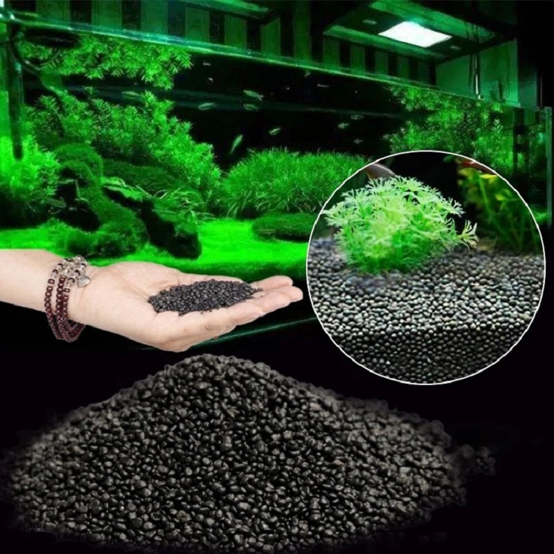 Planted Aquarium With Sand - خزان الأسماك المياه العشب الطين بذور