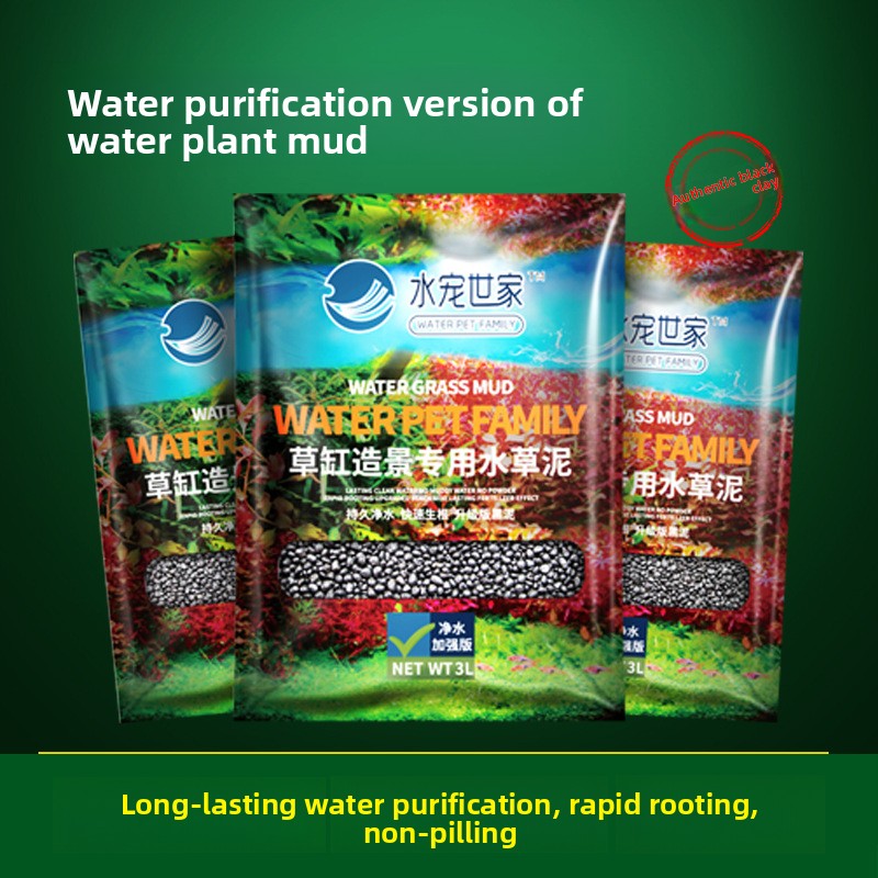 Planted Aquarium With Sand - رمل حوض السمك المزروع من SYSENCIAGA،