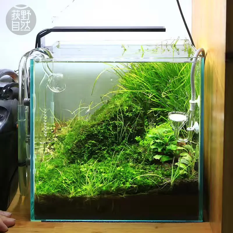 Aquarium Plant Ornament - Chihiros C Series ADA Style Plant
