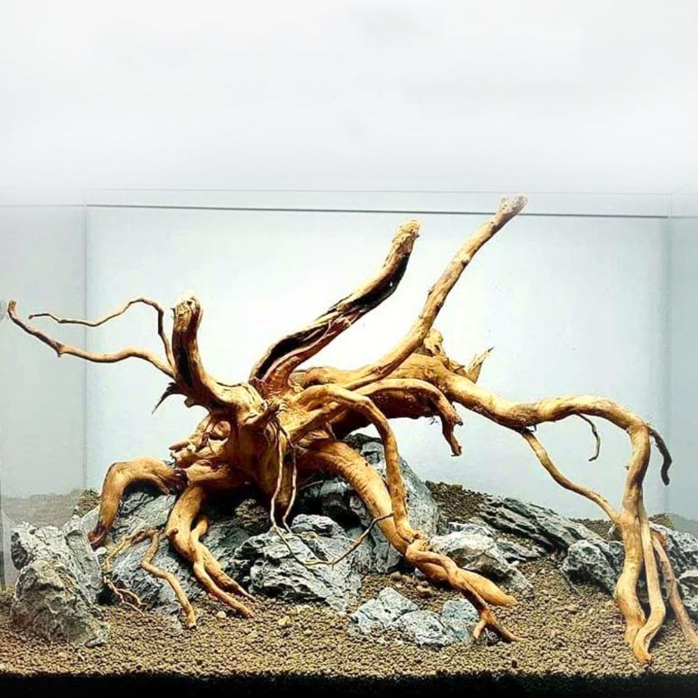 Aquarium Planted Tree - شجرة طبيعية جذع حوض السمك الديكور