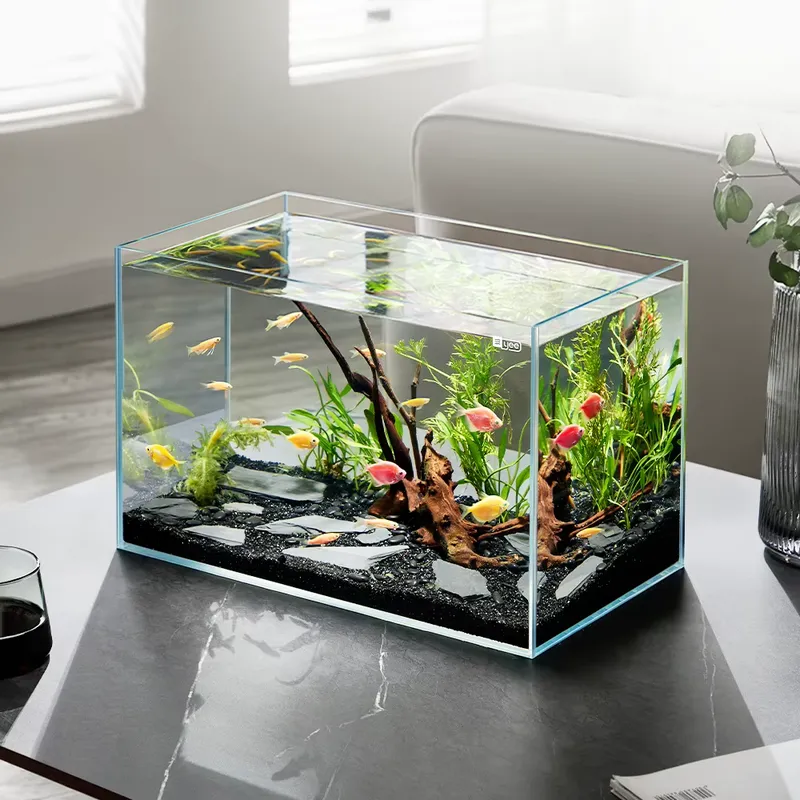 Aquarium Plant Factory - مصنع YEE للبيع بالجملة: حوض أسماك