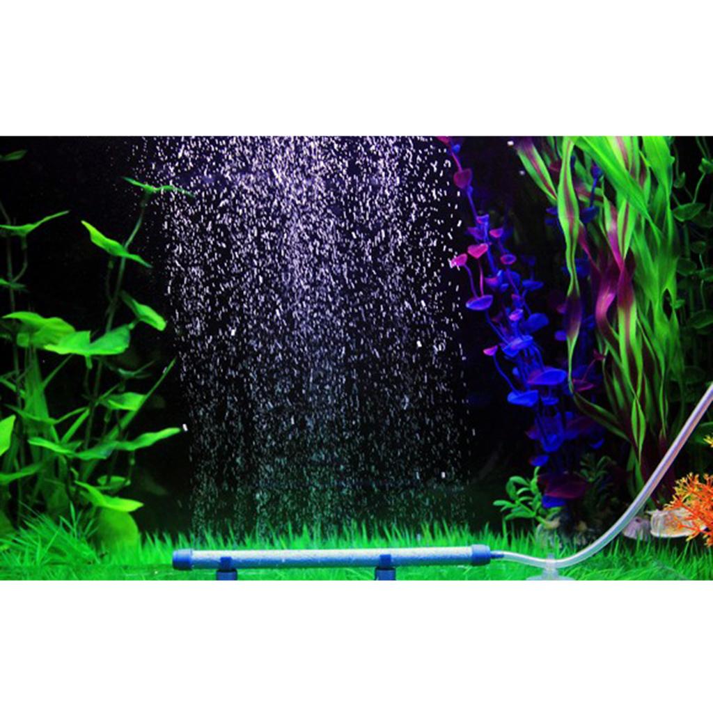 قضيب نشر الأكسجين لحوض السمك،  - مراجعة Planted Aquarium Air Stone وسعره