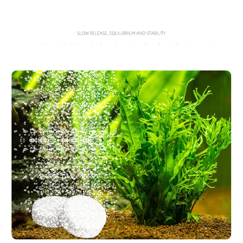 ISTA حوض للأسماك حوض السمك CO2 - مراجعة Planted Aquarium Without Co2 وسعره