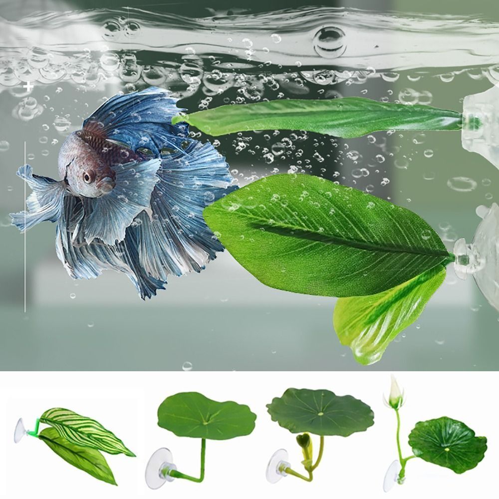 أوراق مسند سمك بيتا البلاستيكي - مراجعة Aquarium Plant Ornament وسعره