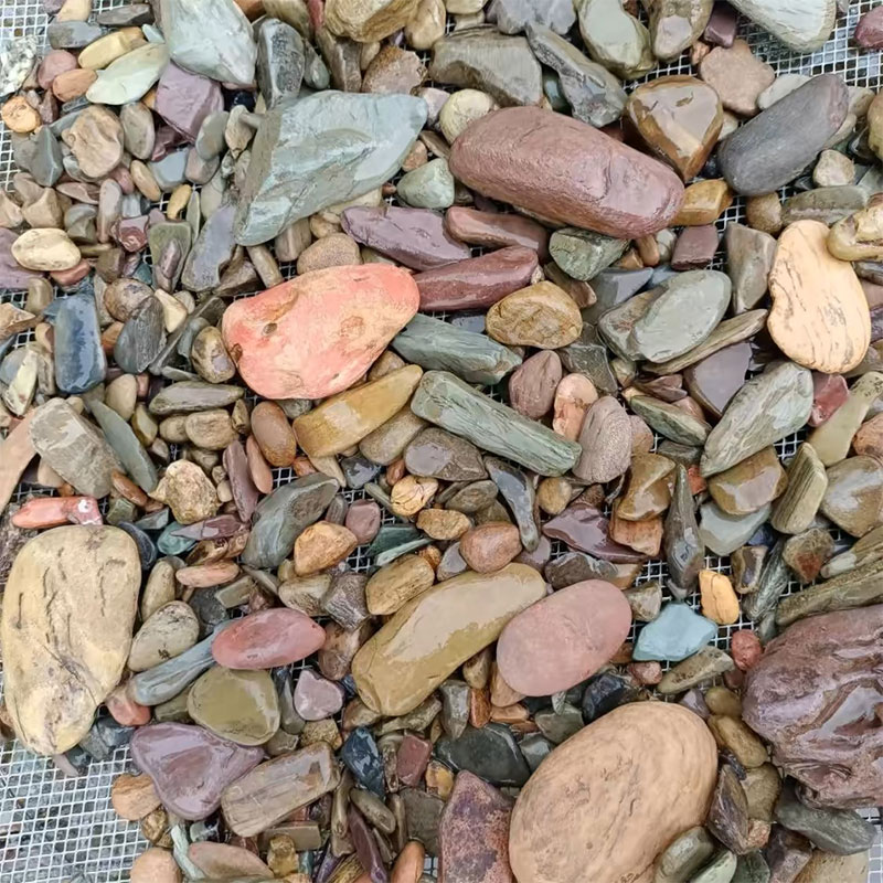 500 جرام خزان الأسماك أسفل حجر - مراجعة Planted Aquarium With Sand وسعره
