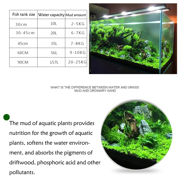 خزان الأسماك المياه العشب الطي - مراجعة Planted Aquarium With Sand وسعره