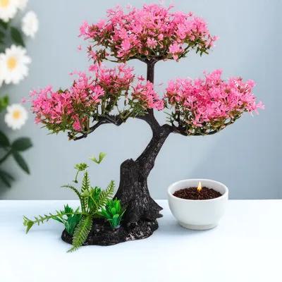نباتات اصطناعية لتزيين أحواض ا - مراجعة Aquarium Planted Tree وسعره