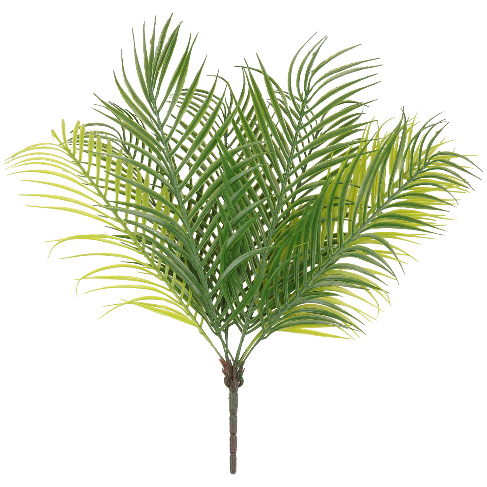 قطعة واحدة من أوراق الشجر البل - مراجعة Planted Aquarium With Sand وسعره