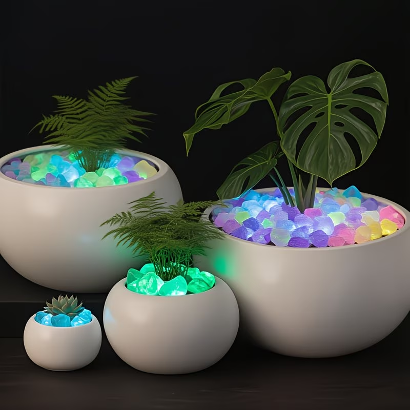 مجموعة 300 قطعة من الحصى المضي - مراجعة Aquarium Plant Ornament وسعره