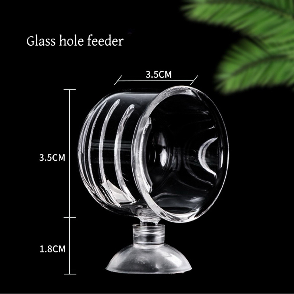 مصنع حوض السمك الديكور معلقة خ - مراجعة Aquarium Plant Factory وسعره