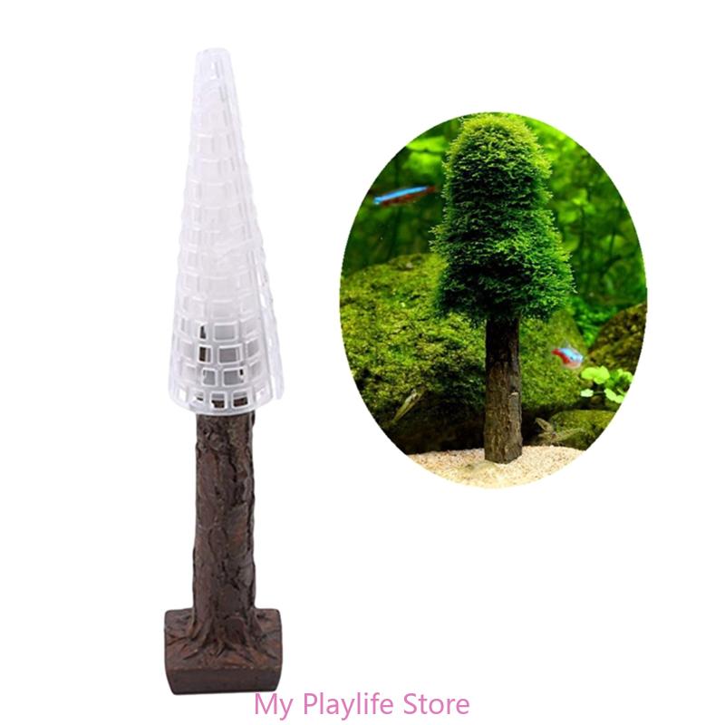 زينة طحلب حوض أسماك ، حامل نبا - مراجعة Aquarium Planted Tree وسعره