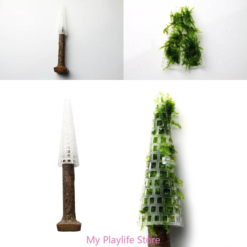 زينة طحلب حوض أسماك ، حامل نبا - مراجعة Aquarium Planted Tree وسعره