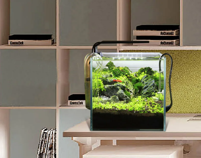 Chihiros C Series ADA Style Pl - مراجعة Aquarium Plant Ornament وسعره