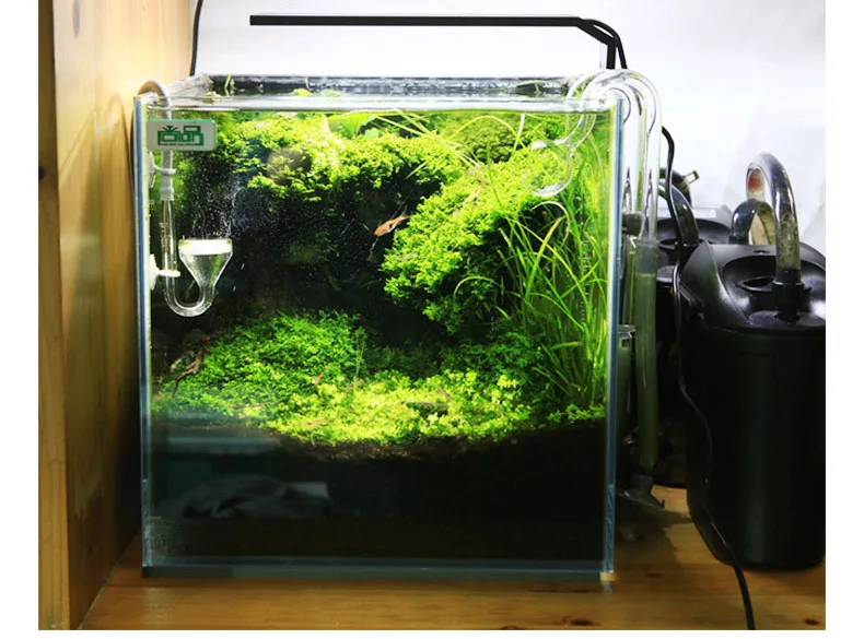 Chihiros C Series ADA Style Pl - مراجعة Aquarium Plant Ornament وسعره