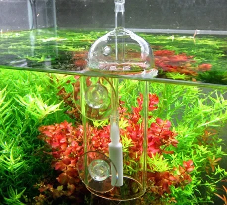 VIV DO جهاز حوض السمك اسطوانة  - مراجعة Planted Aquarium Air Stone وسعره