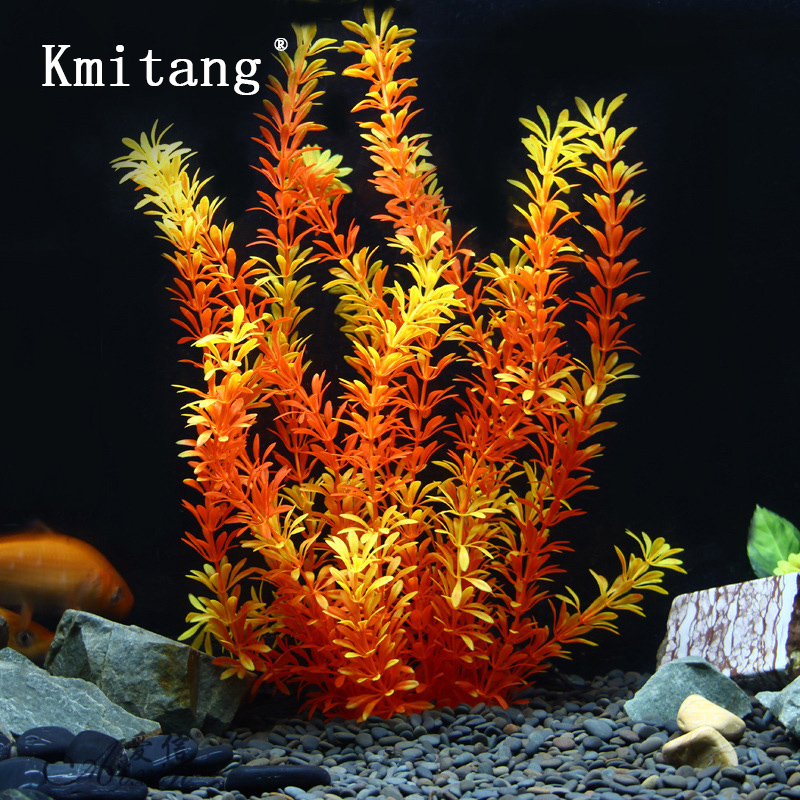 نباتات استوائية كبيرة 100 سنتي - مراجعة Aquarium Planted Tree وسعره