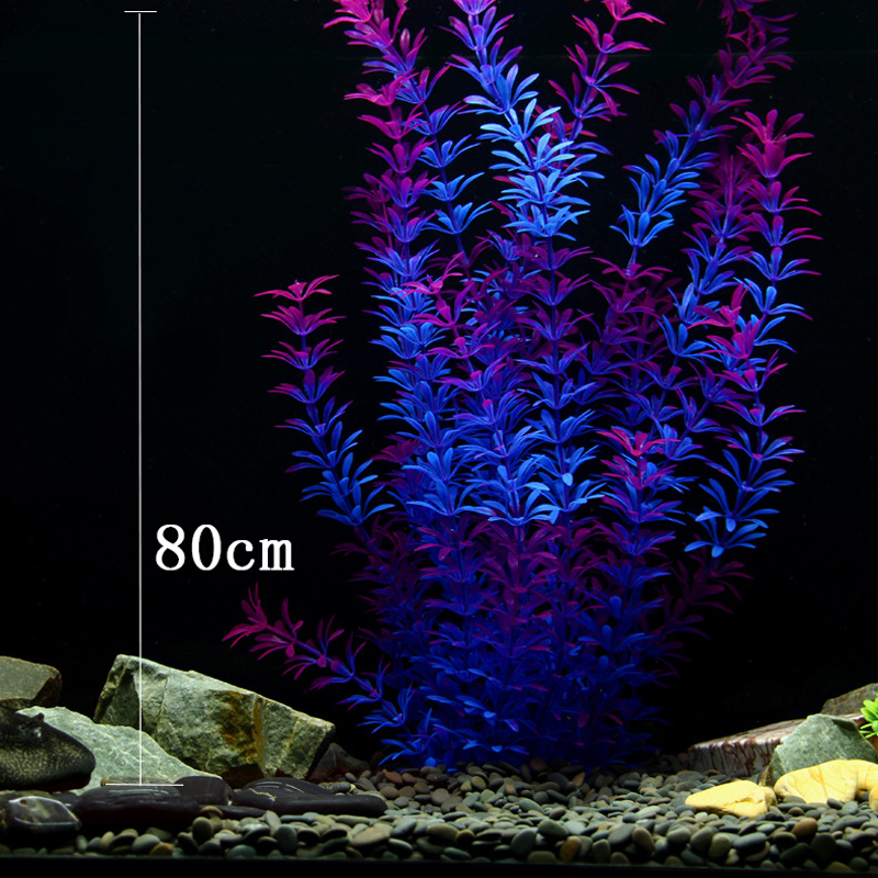 نباتات استوائية كبيرة 100 سنتي - مراجعة Aquarium Planted Tree وسعره