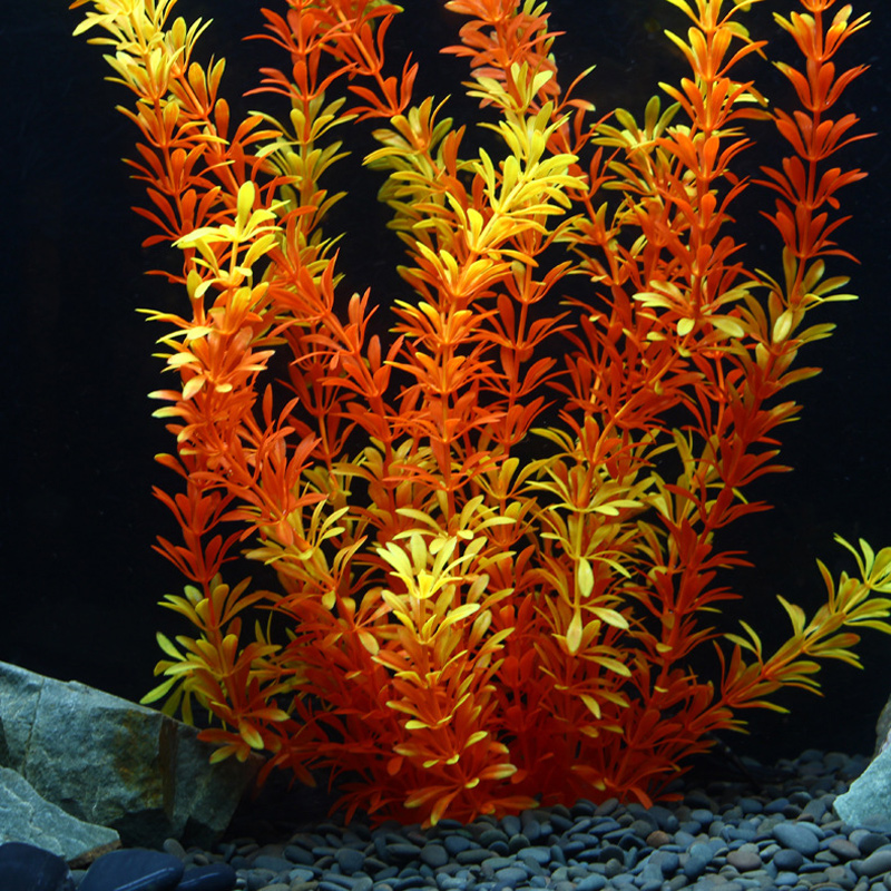 نباتات استوائية كبيرة 100 سنتي - مراجعة Aquarium Planted Tree وسعره