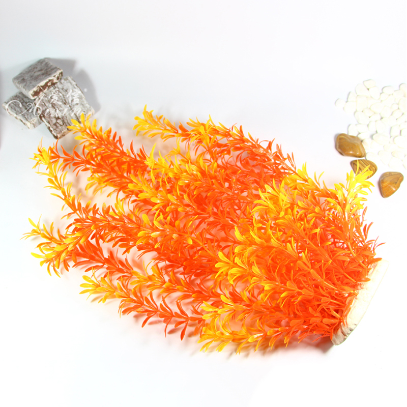 نباتات استوائية كبيرة 100 سنتي - مراجعة Aquarium Planted Tree وسعره