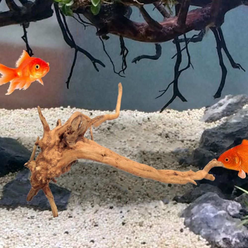 شجرة طبيعية جذع حوض السمك الدي - مراجعة Aquarium Planted Tree وسعره