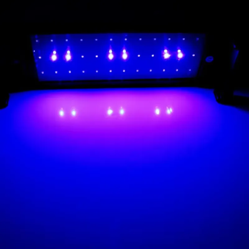GAKO 11W ZJL-60A مصباح LED لحو - مراجعة Planted Aquarium Price وسعره