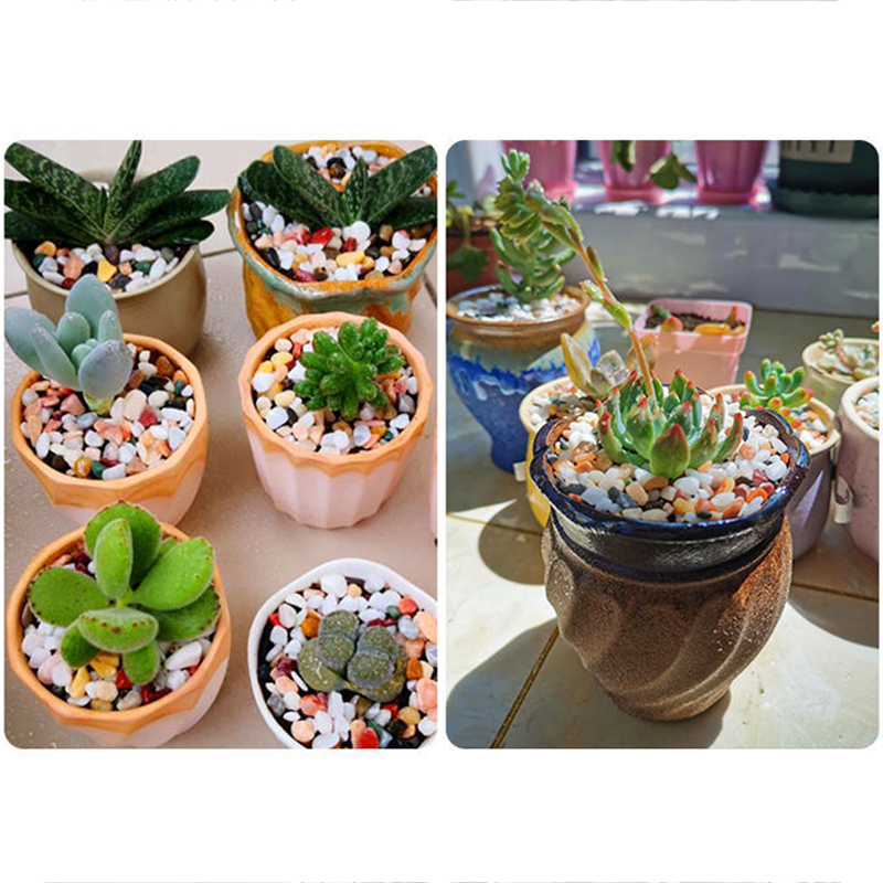 رمل قاع حوض السمك، إكسسوارات D - مراجعة Planted Aquarium With Sand وسعره