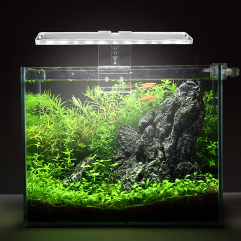 LED حوض السمك مصباح ضوء النبات - مراجعة Planted Aquarium Price وسعره