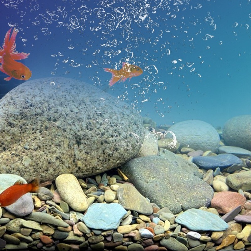 حصى نهري لتزيين قاع أحواض السم - مراجعة Planted Aquarium With Sand وسعره