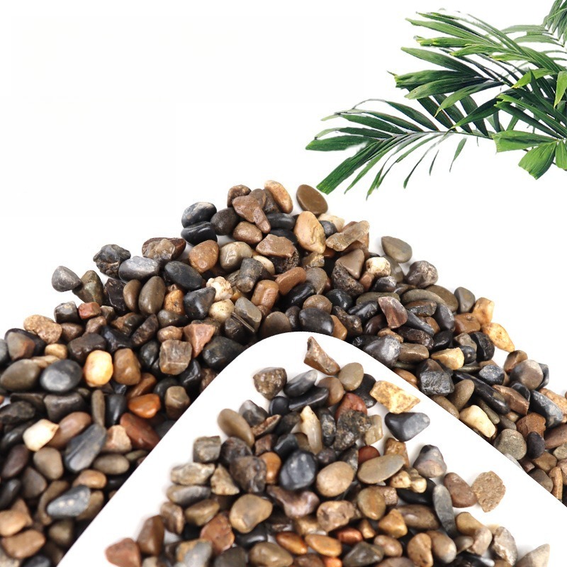 حصى نهري لتزيين قاع أحواض السم - مراجعة Planted Aquarium With Sand وسعره