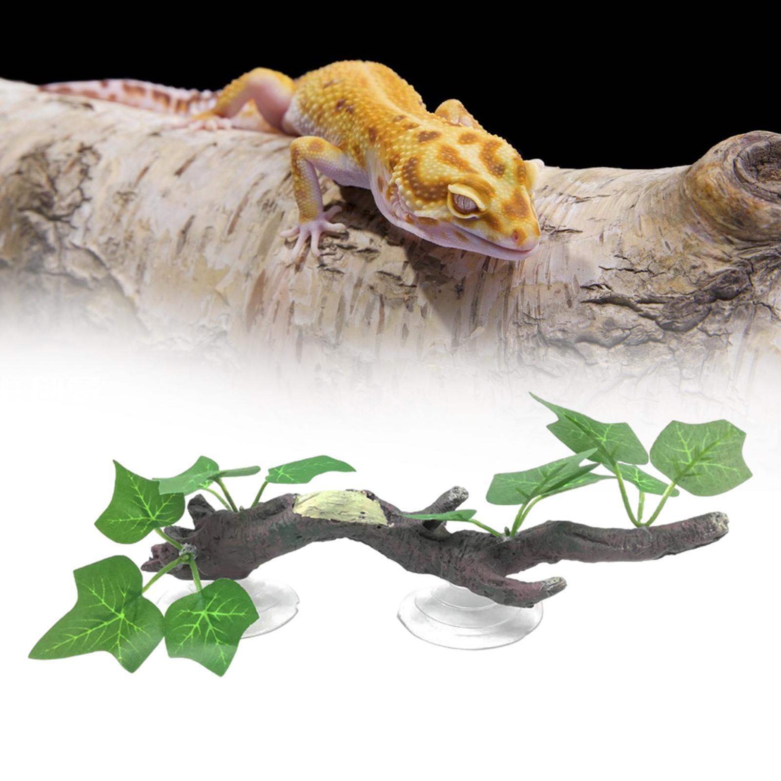 ديكور غرفة الزواحف على شكل غصن - مراجعة Aquarium Planted Tree وسعره
