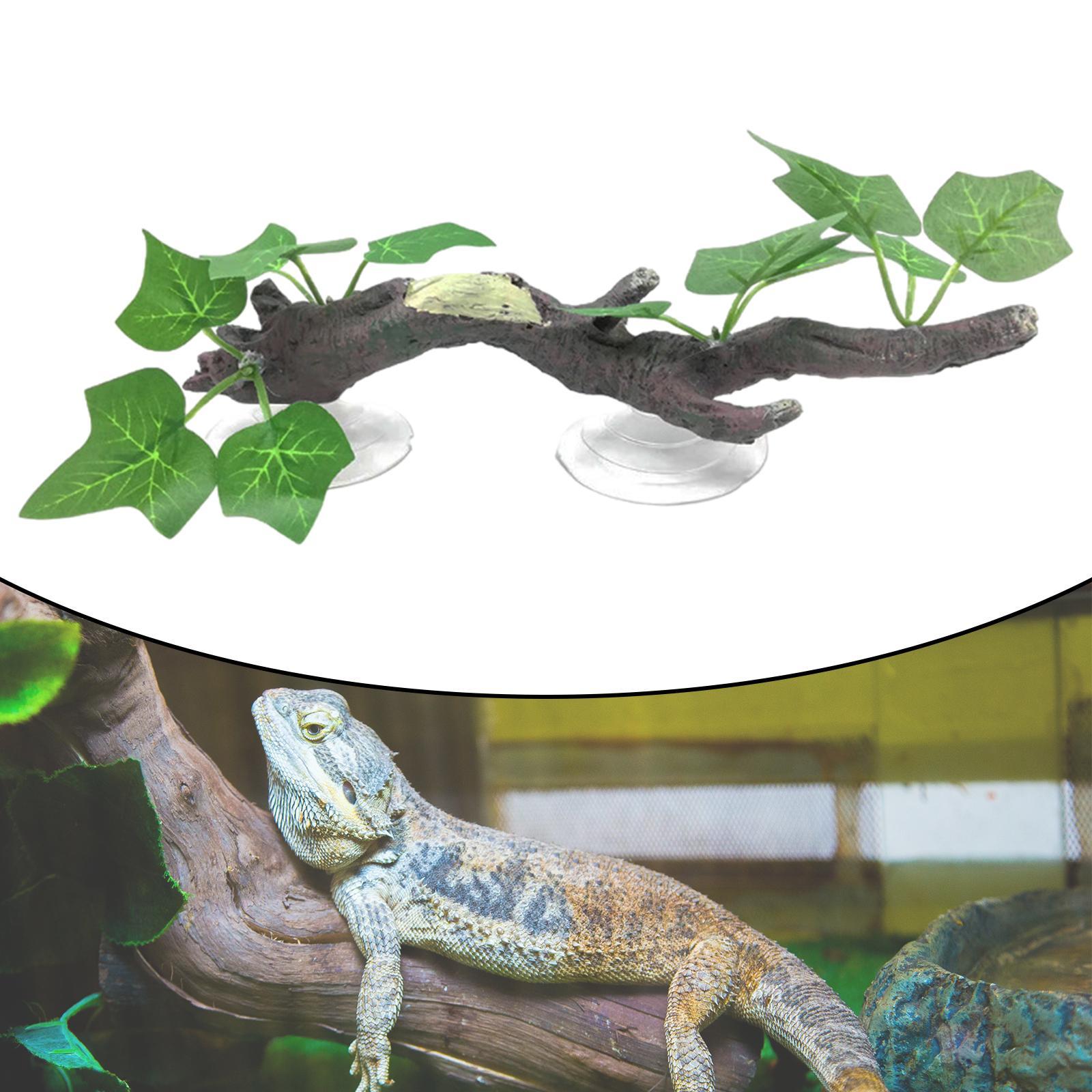 ديكور غرفة الزواحف على شكل غصن - مراجعة Aquarium Planted Tree وسعره