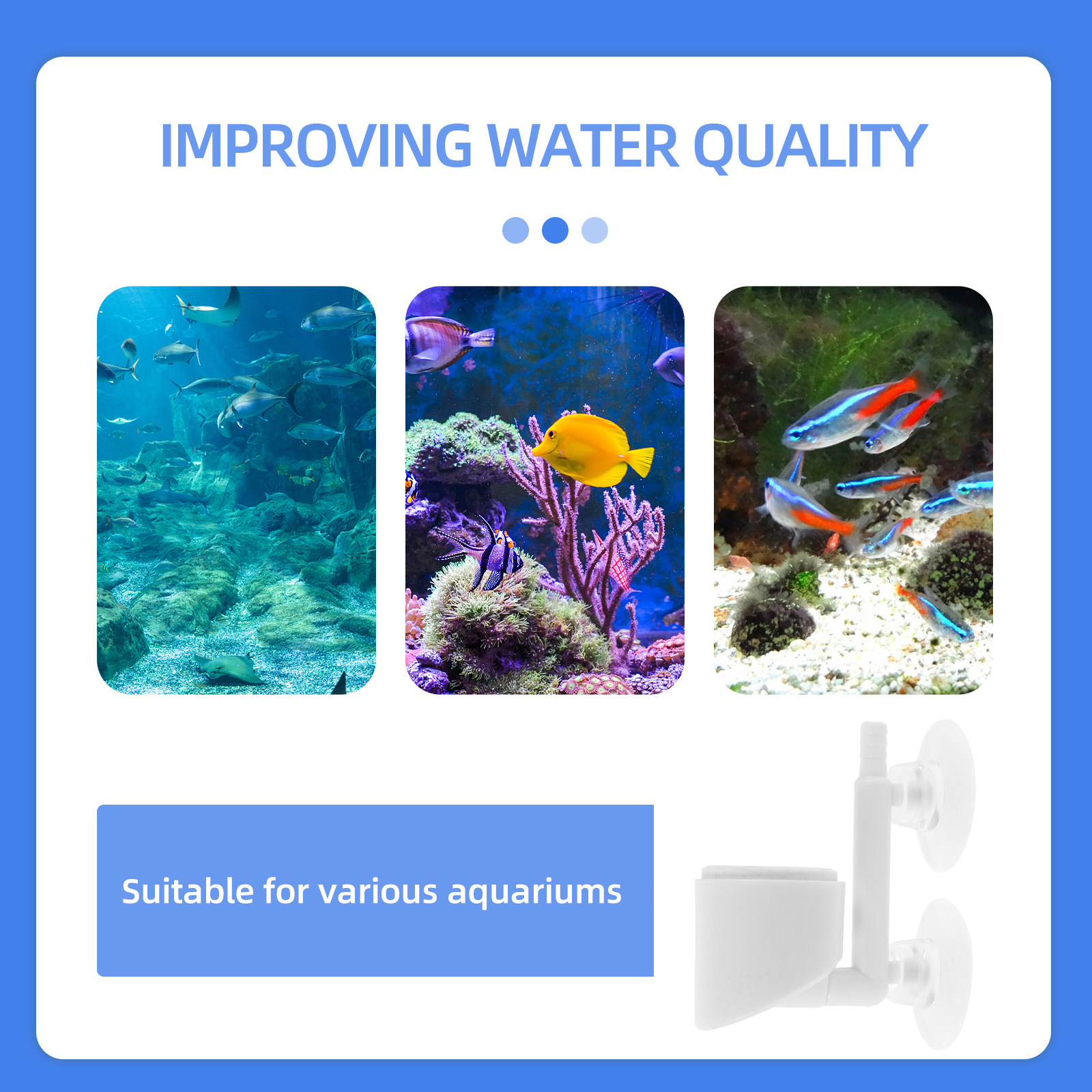 ملحقات مضخة الأكسجين لحوض السم - مراجعة Planted Aquarium Air Stone وسعره