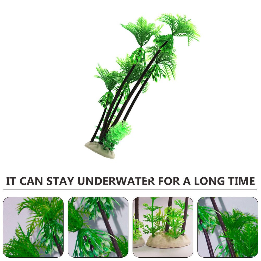 قطعة واحدة من شجرة جوز الهند ا - مراجعة Aquarium Planted Tree وسعره