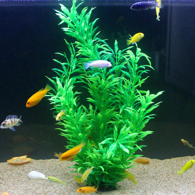 نباتات اصطناعية نادرة لأحواض ا - مراجعة Aquarium Plant Ornament وسعره