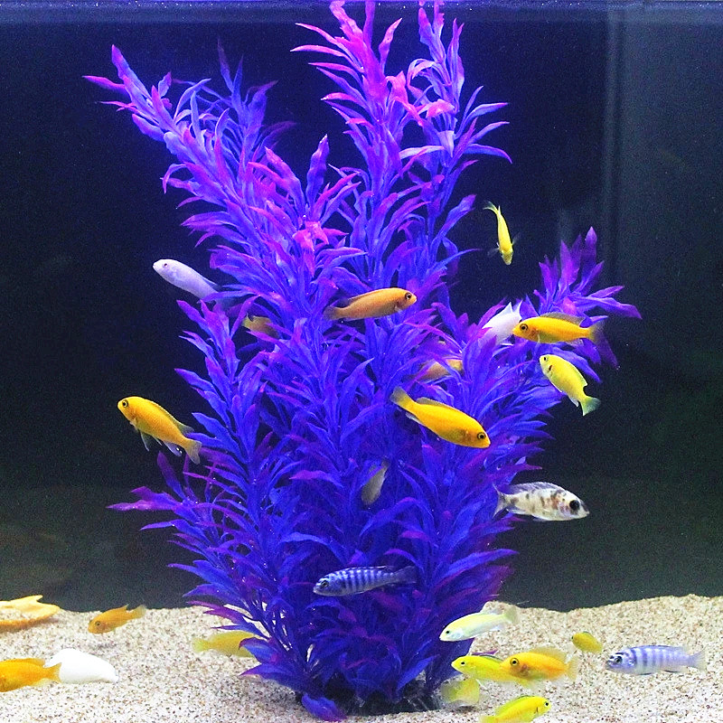 نباتات اصطناعية نادرة لأحواض ا - مراجعة Aquarium Plant Ornament وسعره