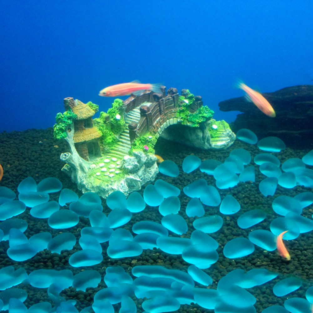 اكسسوارات حوض السمك نبات شجرة  - مراجعة Aquarium Planted Tree وسعره